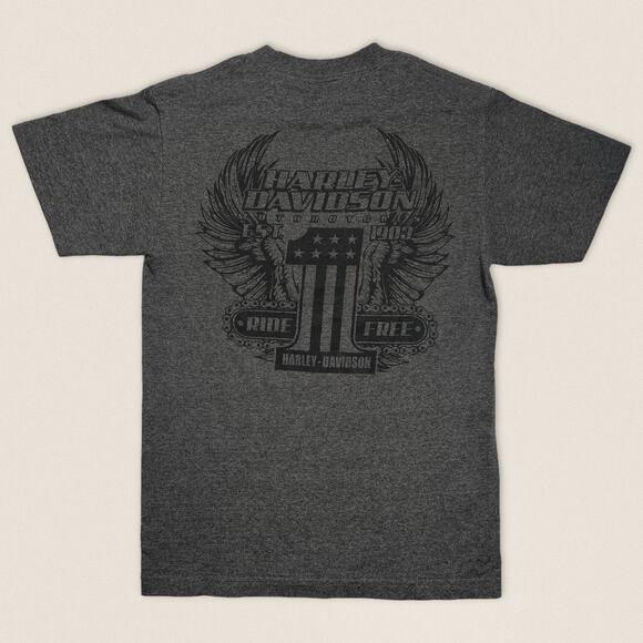 Y2K Harley Davidson Gray Tee T-shirt | Size Small | San Jacinto Texas - Picture 1 of 5